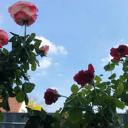 Exclusive Airport דירה *